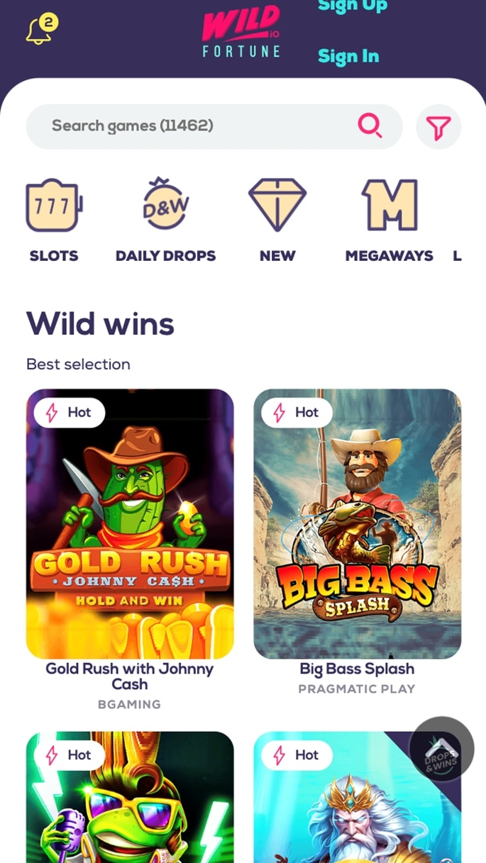 Wild Fortune Overview